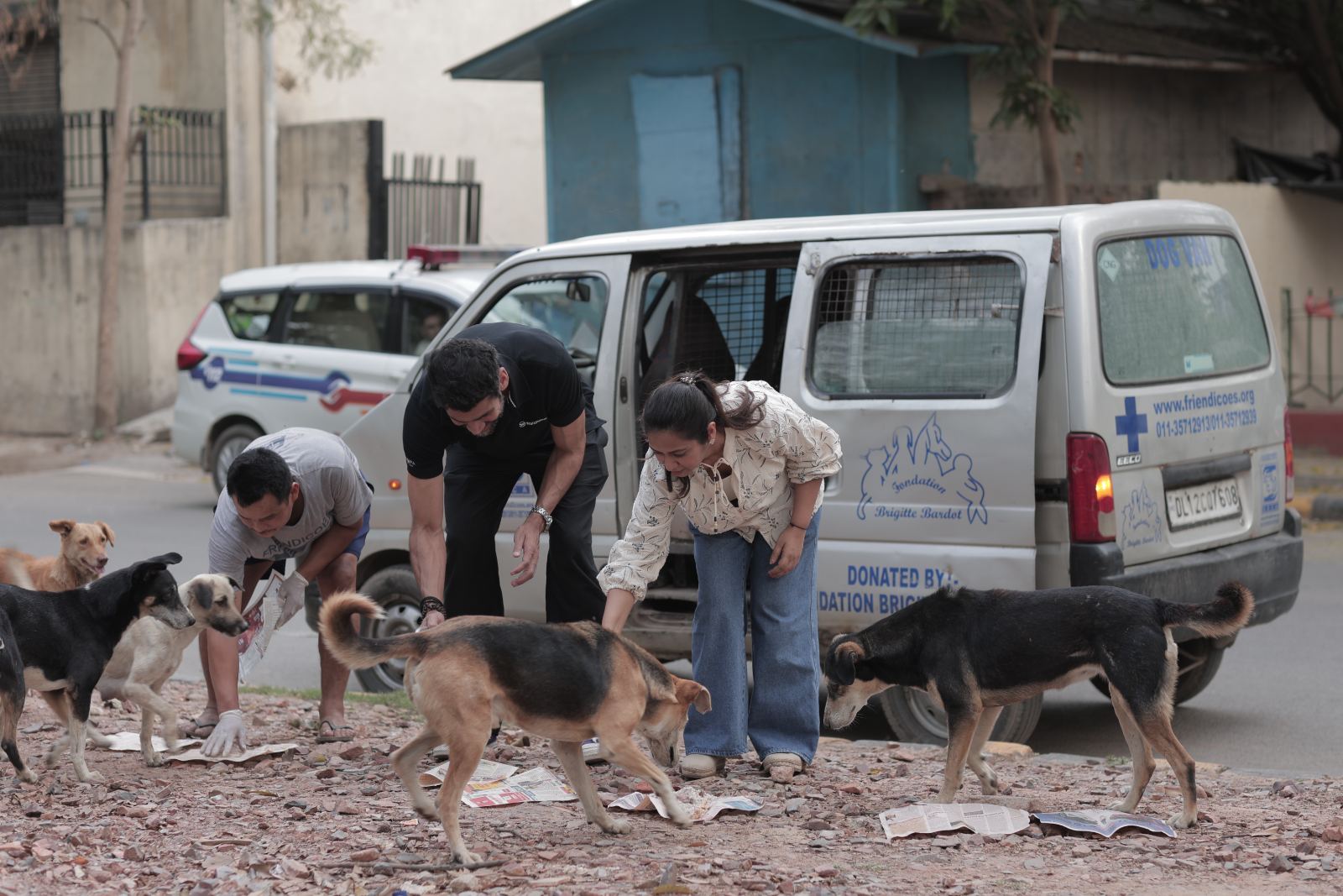 Feeding strays beside the Friendicoes dog van