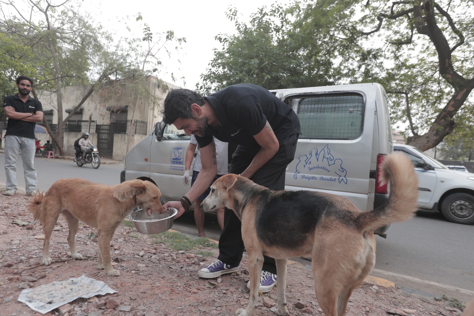 Volunteers laying out food for street dogs